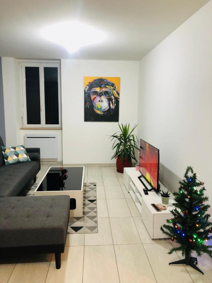 Superbe Appartement Roanne Dış mekan fotoğraf
