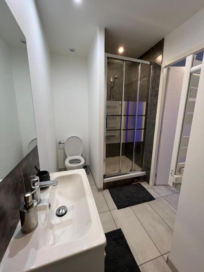 Superbe Appartement Roanne Dış mekan fotoğraf
